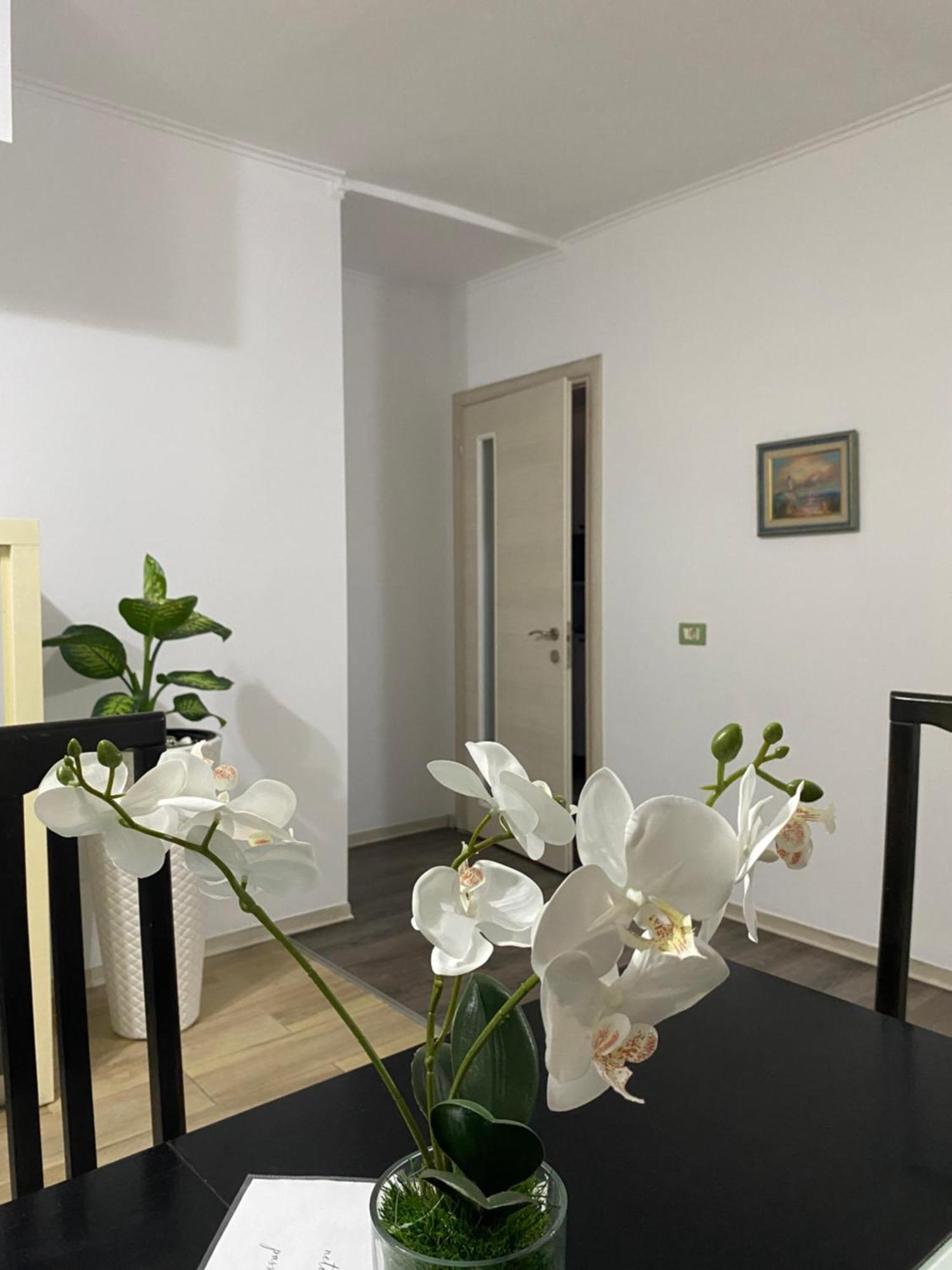 Main Apartment 티라나 외부 사진