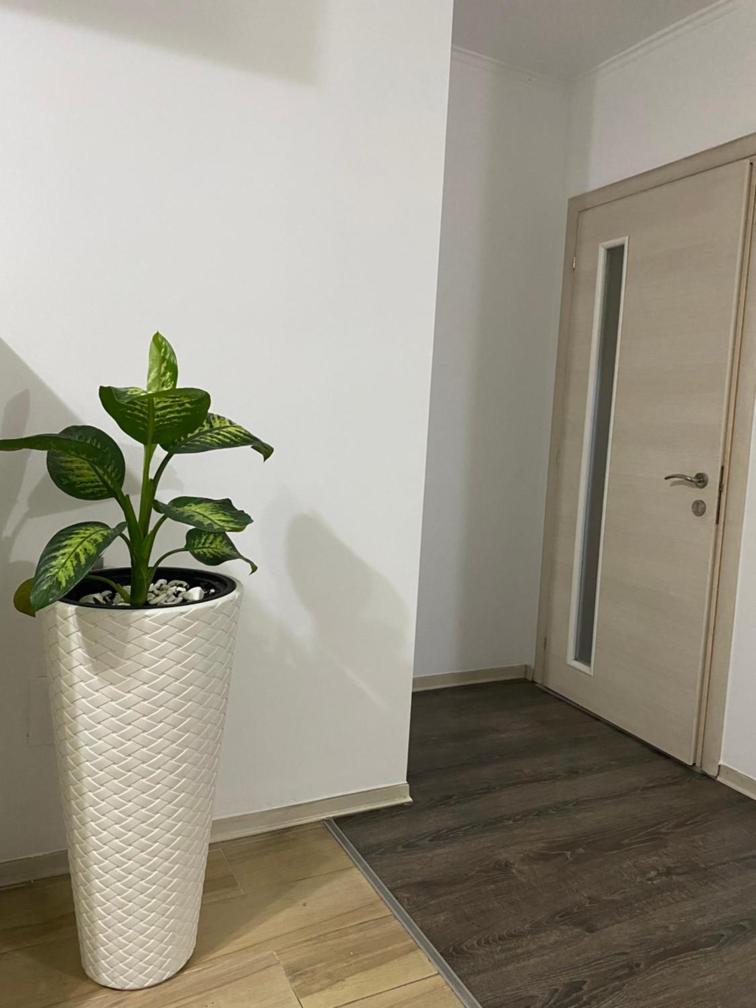 Main Apartment 티라나 외부 사진